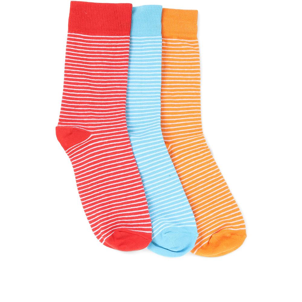 Men's Socks | Cotton Rich Socks for Men from Jones Bootmaker